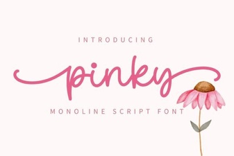 Pinky Font: Elegant Script for Creative Projects